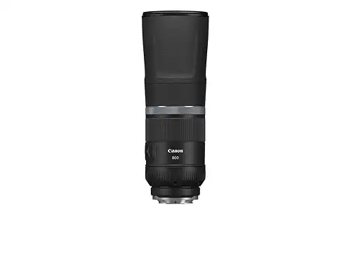 Canon RF 800mm F11 is STM Lens Super telephoto Lens Ideal for Wildlife and Travel